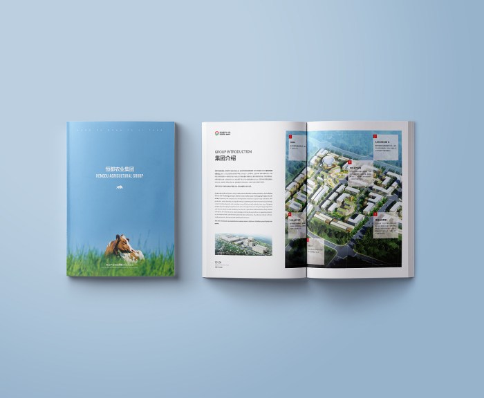 大气高端画册设计